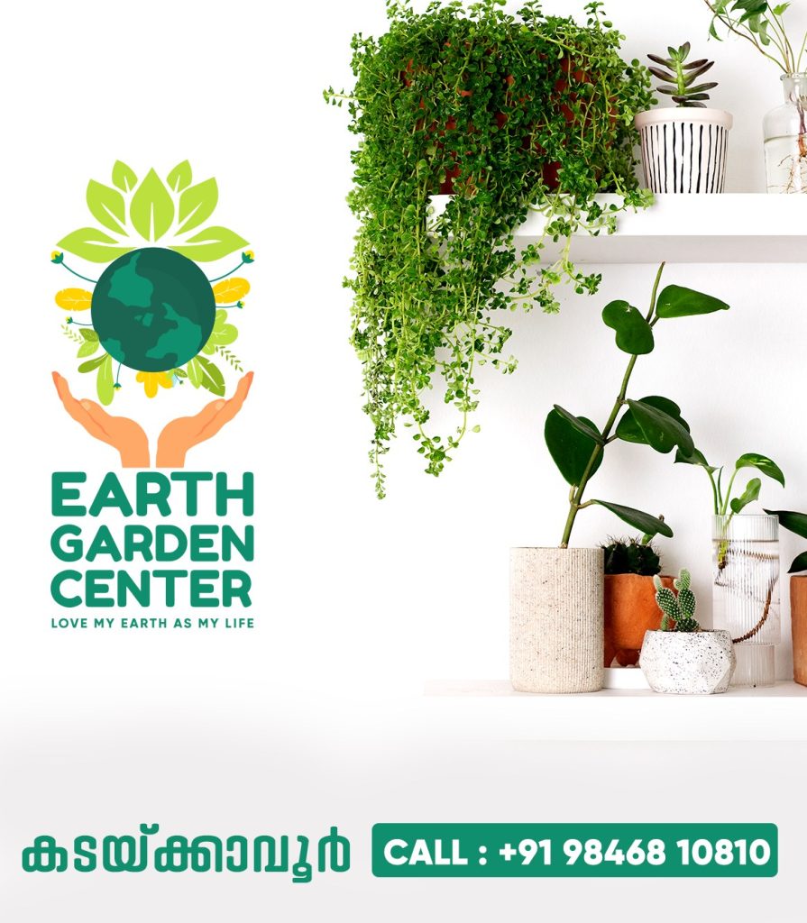 Earth garden center
